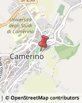 Scuole e Corsi di Lingua Camerino,62032Macerata