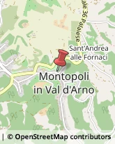 Magistrali - Scuole Private Montopoli in Val d'Arno,56020Pisa