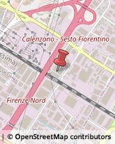 Trasporti Internazionali Calenzano,50041Firenze