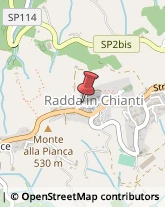 Piante e Fiori - Dettaglio Radda in Chianti,53017Siena