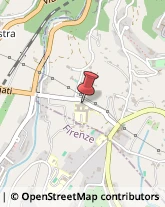 Università ed Istituti Superiori,50014Firenze