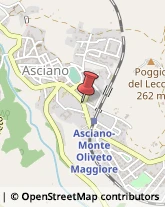 Assicurazioni Asciano,53041Siena