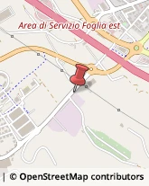 Articoli Sportivi - Dettaglio Pesaro,61122Pesaro e Urbino