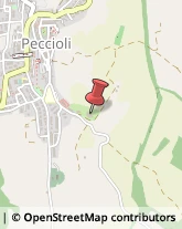 Perle Peccioli,56037Pisa