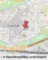 ,55100Lucca