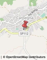 Agenti e Rappresentanti di Commercio Carpegna,61021Pesaro e Urbino