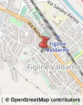 Pelletterie - Forniture e Macchine Figline e Incisa Valdarno,50063Firenze