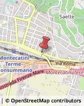 Trasporti Montecatini Terme,51016Pistoia