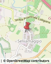 Avvolgimenti Elettrici Colle di Val d'Elsa,53034Siena