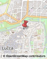 Parrucchieri,55100Lucca