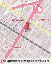 Trasporti Internazionali,50041Firenze