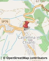 Associazioni Sindacali Castellina in Chianti,53011Siena