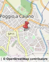 Pelletterie - Ingrosso e Produzione Poggio a Caiano,59016Prato