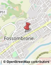 Alimenti Conservati Fossombrone,61034Pesaro e Urbino