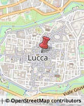 Libri, Fumetti e Riviste,55100Lucca