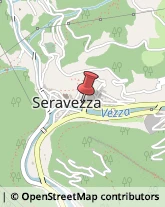 Associazioni Sindacali Seravezza,55047Lucca