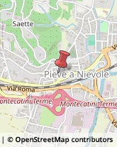 Consulenza del Lavoro,51018Pistoia