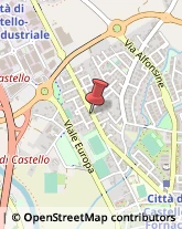 Tappezzieri in Carta Città di Castello,06012Perugia