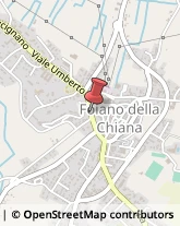 Panettoni e Pandori Foiano della Chiana,52045Arezzo