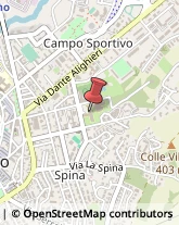 Scuole Pubbliche,60044Ancona