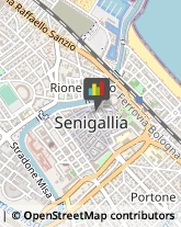 Agrumi Senigallia,60019Ancona