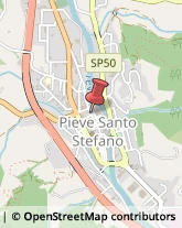 Pelletterie - Ingrosso e Produzione Pieve Santo Stefano,52036Arezzo