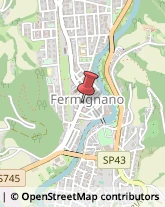 Avvocati Fermignano,61033Pesaro e Urbino