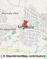 Ambulatori e Consultori Montale,51037Pistoia