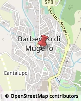 Banche e Istituti di Credito Barberino di Mugello,50031Firenze