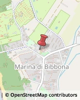 Erboristerie Bibbona,57020Livorno