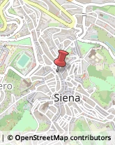 Informazioni Commerciali Siena,53100Siena