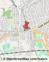 Agopuntura Massa e Cozzile,51010Pistoia