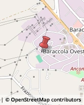 Macchine Ufficio - Noleggio, Commercio e Riparazione Ancona,60131Ancona