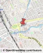 Via di Montramito, 13,55049Viareggio