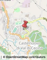 Avvocati,56125Pisa