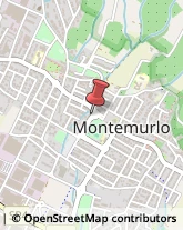 Logopedia Montemurlo,59013Prato