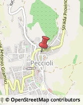 Perle Peccioli,56037Pisa