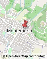 Assicurazioni Montemurlo,51100Prato