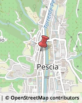 Ingegneri Pescia,51017Pistoia