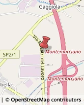 Naturopatia Montemarciano,60018Ancona