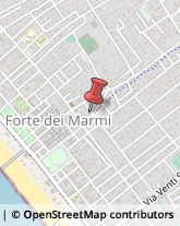 Articoli per Ortopedia Forte dei Marmi,55042Lucca