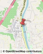 Internet - Provider Taggia,18018Imperia