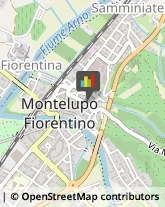 Fornaci Montelupo Fiorentino,50056Firenze