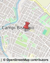 Conserve Campi Bisenzio,50013Firenze