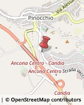 Spedizioni Internazionali Ancona,60131Ancona