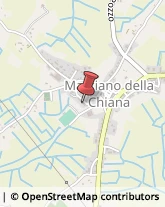 Commercialisti Marciano della Chiana,52047Arezzo