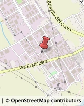 Fabbri Castelfranco di Sotto,56022Pisa
