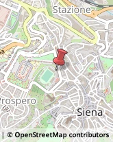 Omeopatia Siena,53100Siena