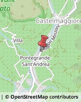 Campeggi, Villaggi Turistici e Ostelli,56011Pisa