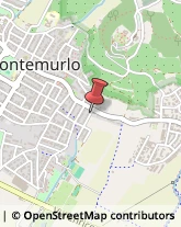 Antiquariato Montemurlo,59100Prato